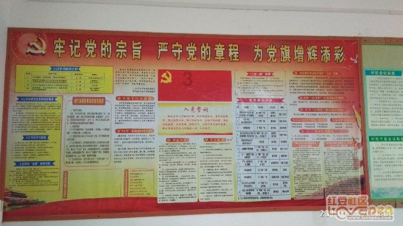 占用公共资源、存在安全隐患又属私有产权，城市中的“僵尸车”该如何处理？游戏画面